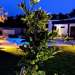 Eni Medulin Heated Pool Villa Sisan
