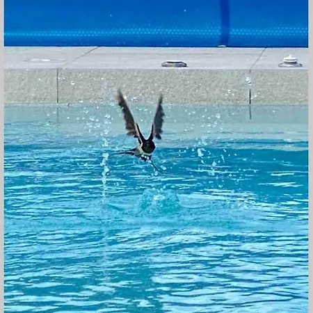 Eni Medulin Heated Pool * Šišan