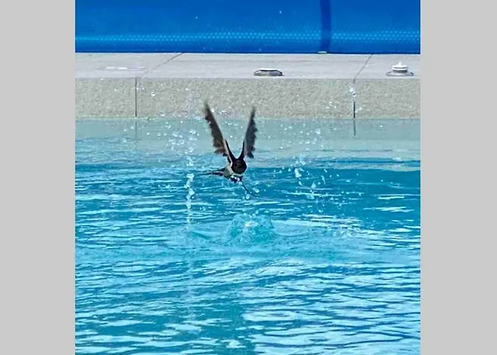 Eni Medulin Heated Pool * Šišan